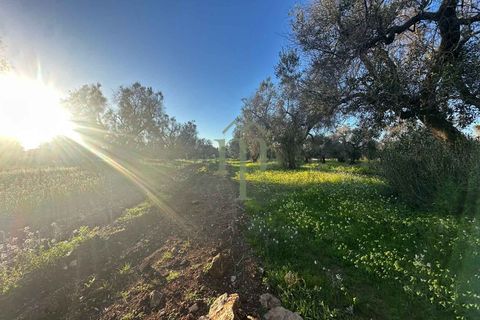Helårsgrund i Carovigno, Brindisi, Carovigno - € 85.000 | Ref: TER.GROTTAMIRAN - foto 2